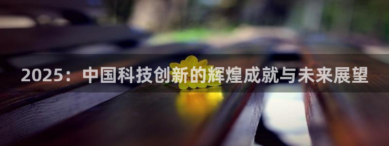 2025：中国科技创新的辉煌成就与未来展望