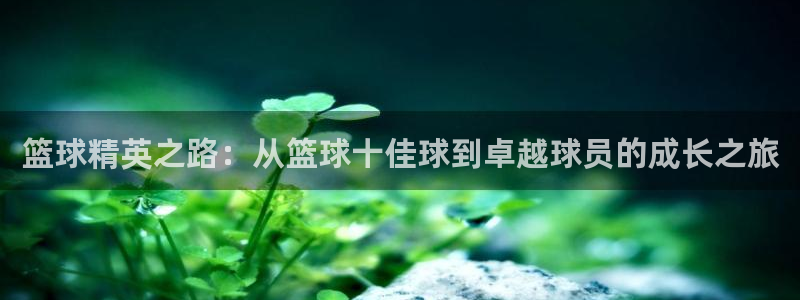 篮球精英之路：从篮球十佳球到卓越球员的成长之旅