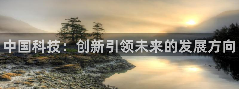 中国科技：创新引领未来的发展方向